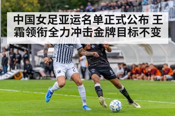 soccer stadium match action